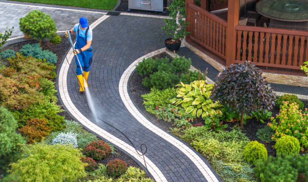 Best Residential Pressure Washing Services  in Westminster, LA